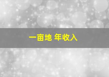 一亩地 年收入